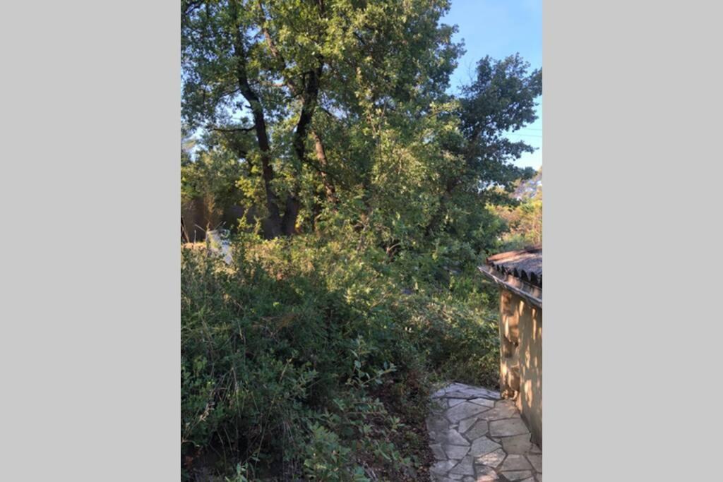 L'escapade. Entre Aix Et Marseille, Pleine Nature. Apartment *